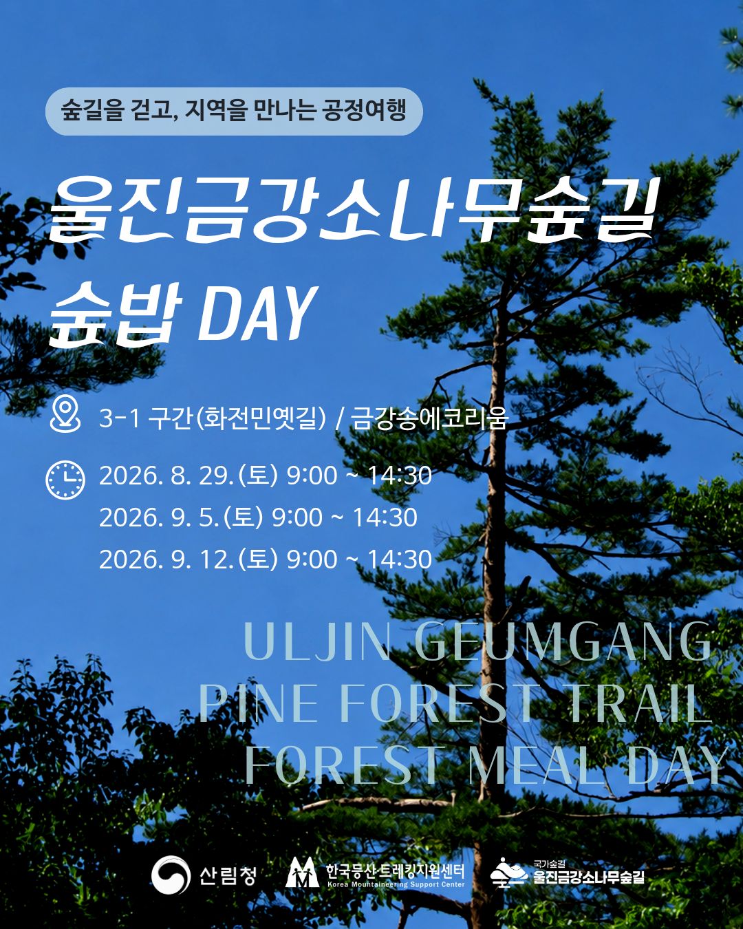 팝업이미지